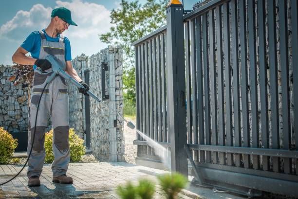 Boat and Dock Cleaning in Suny Oswego, NY